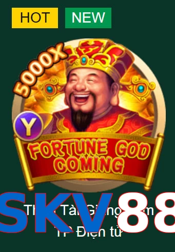 SKV88